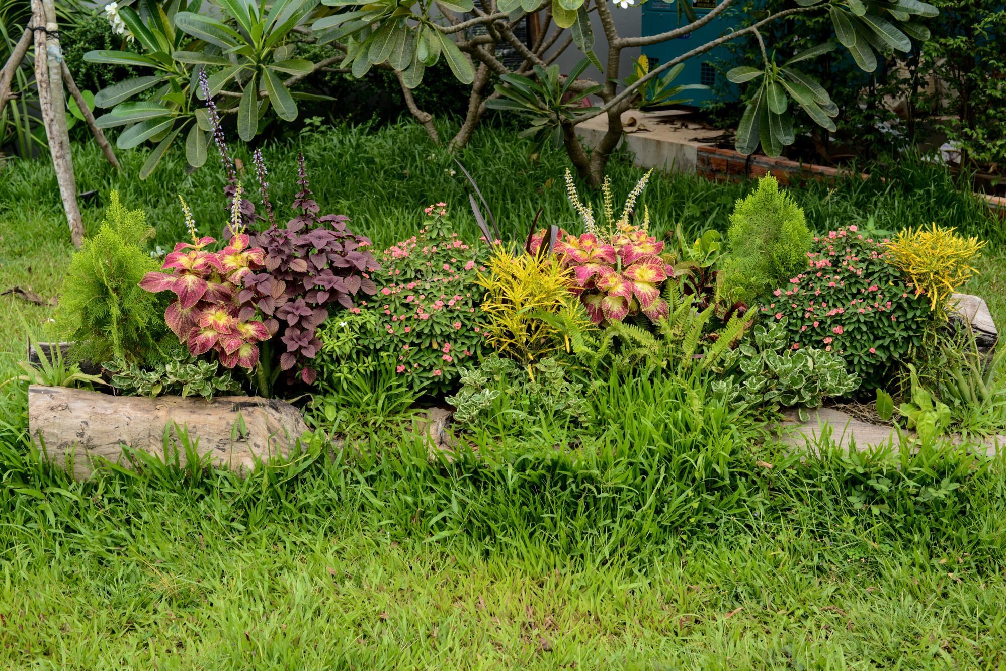 The Villa Secret Garden Σιέμ Ρέαπ Εξωτερικό φωτογραφία